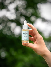 Load image into Gallery viewer, Bioactive Prebiotics Jelly Serum