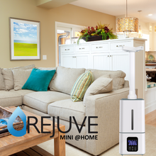 Load image into Gallery viewer, Rejuve Mini@Home unit